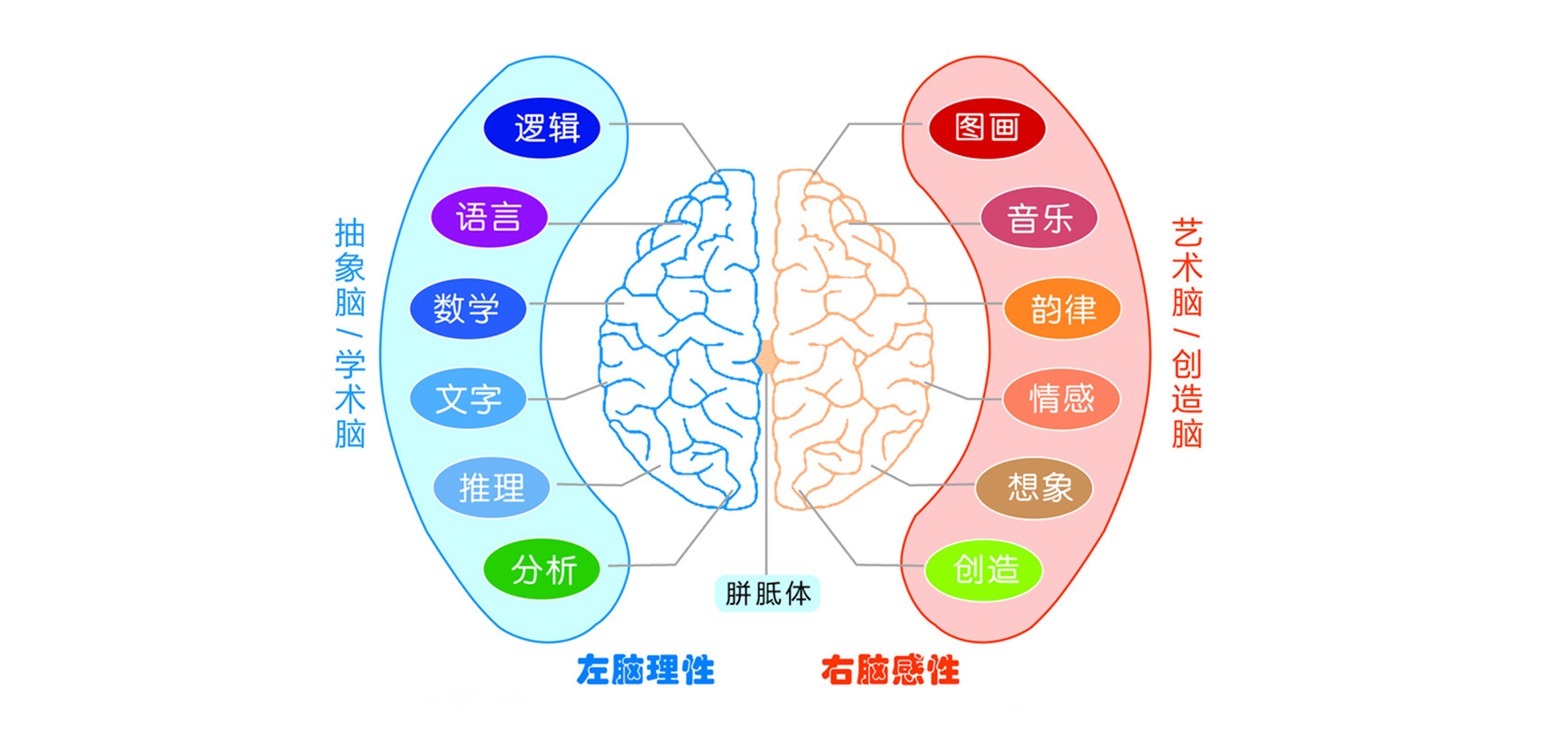 后园,黄果柑,产品设计,包装设计,酒标设计,红酒设计,深圳包装设计