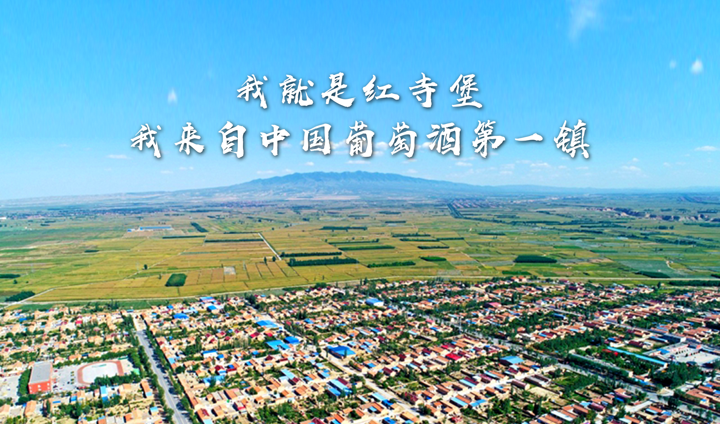 红寺堡酒庄,红寺堡红酒包装设计,红酒设计,包装设计公司,酒标设计,深圳包装设计公司,国产红酒包装设计